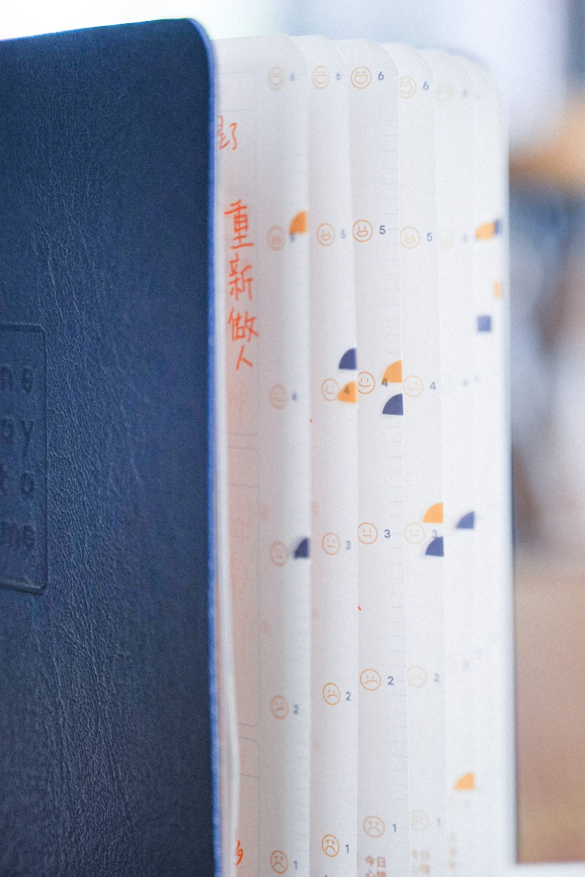 The mood scale printed along the page edges, a row of small icons down the closed journal's fore-edge.