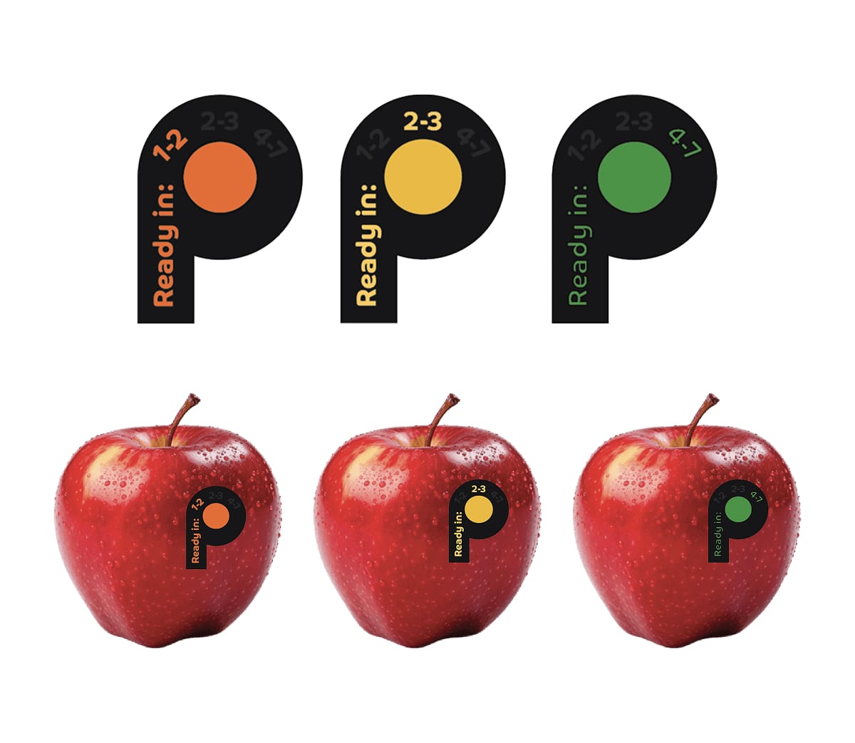 Three P-shaped ripeness stickers in orange, yellow, and green, each reading "Ready in:" above the ranges 1-2, 2-3, and 4-7 days, shown large and again applied to a red apple.