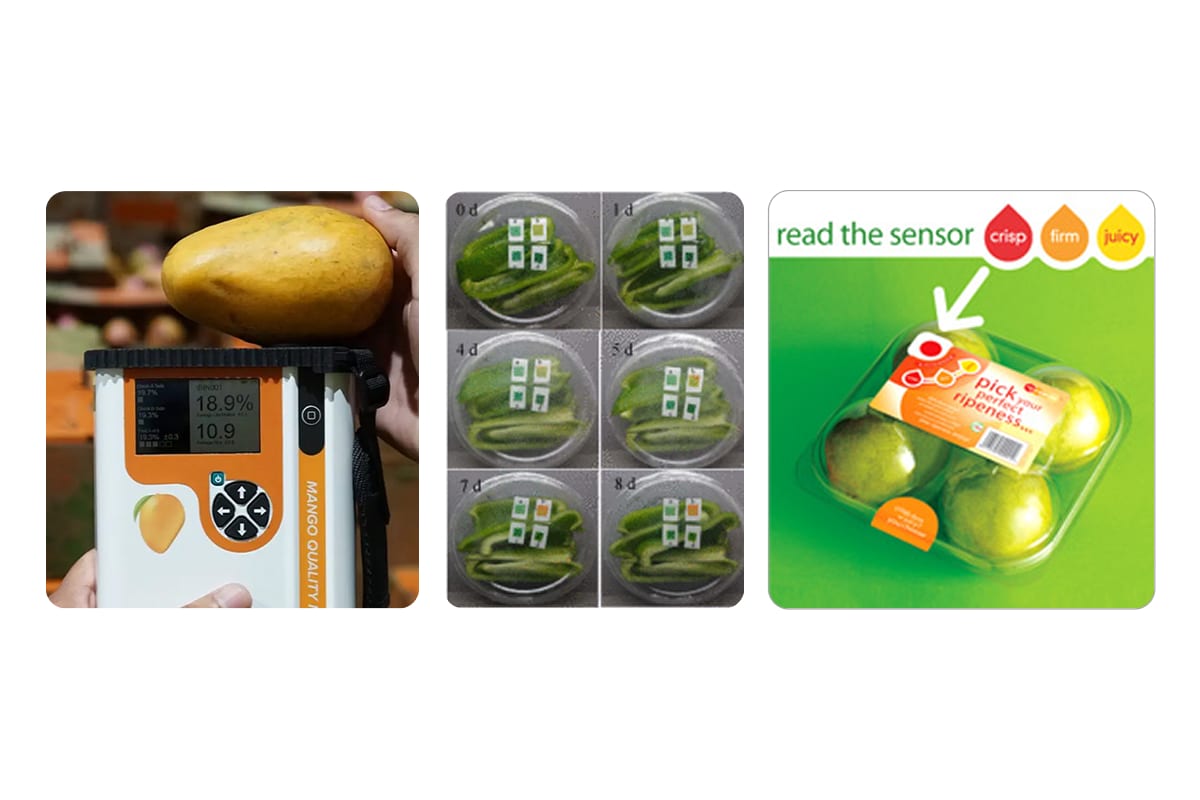 Three panels in a row. A hand holds a mango above a handheld mango quality meter reading 18.9 percent dry matter. A six-frame grid follows sensor labels on cut produce from day zero to day eight, the small squares turning from green to orange. A supermarket pack of apples carries a ripeness sensor and the line "read the sensor: crisp, firm, juicy".