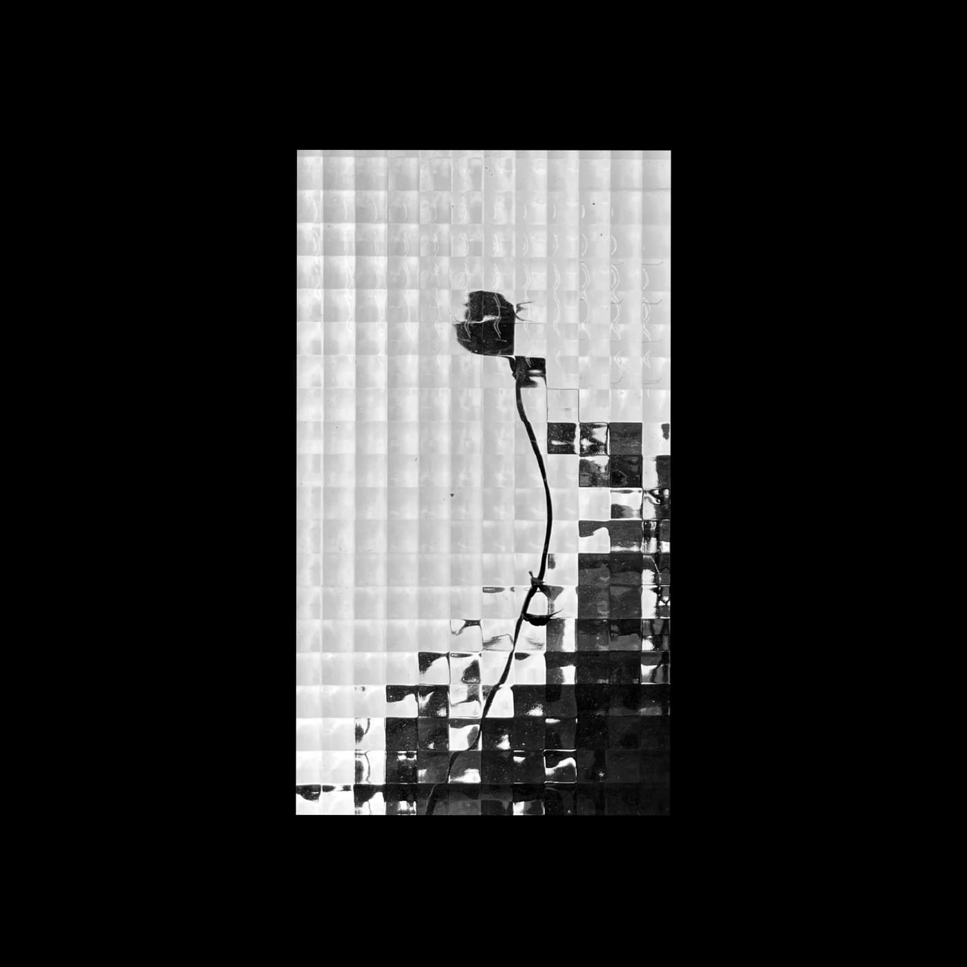 A lamp seen through a wall of textured glass blocks.