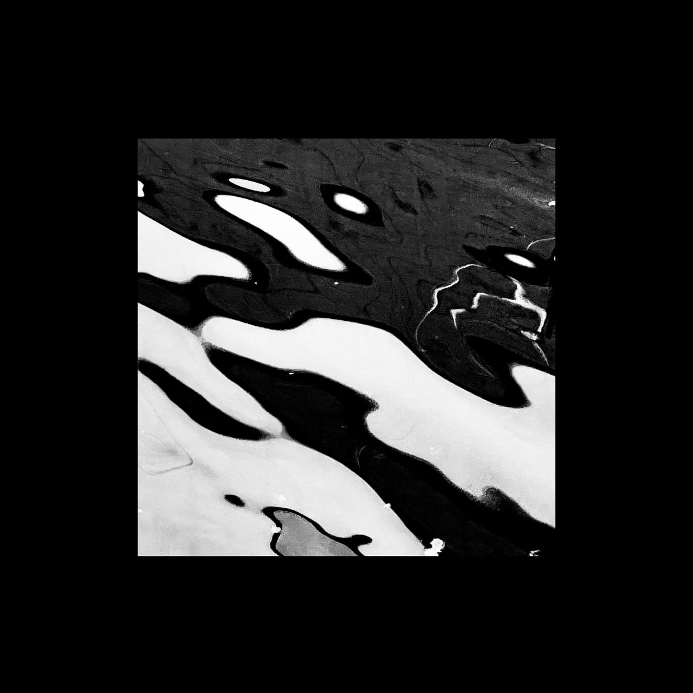 Broad pale islands in dark water.