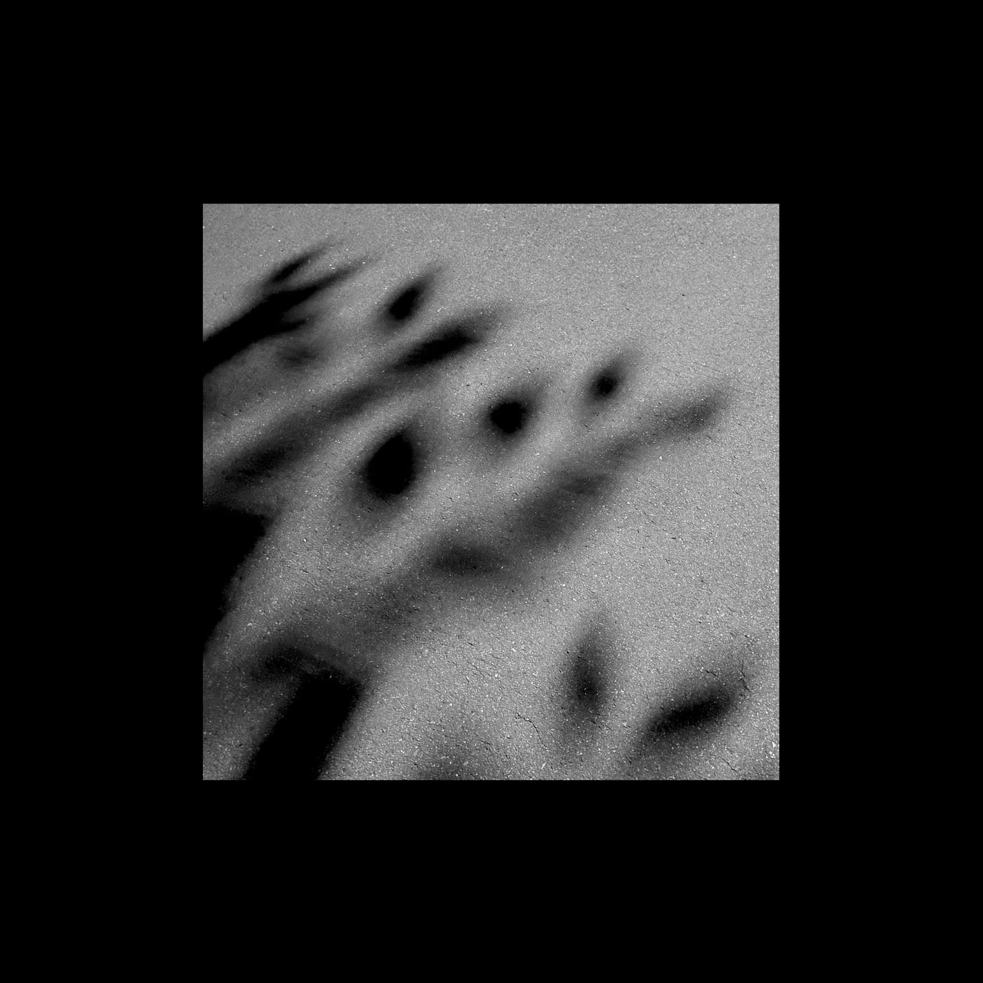 Blurred finger-like shapes against a grainy field.