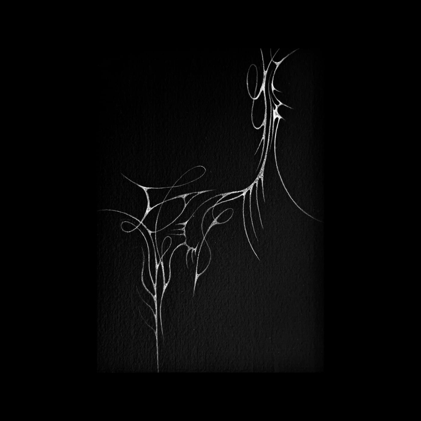 Fine spidery lines branching out of darkness.